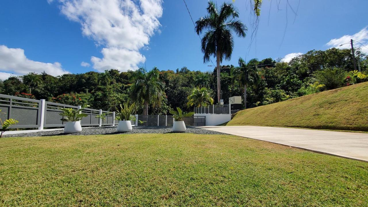 Vila Palm'S Bohemian House With Private Pool Aguada Exteriér fotografie